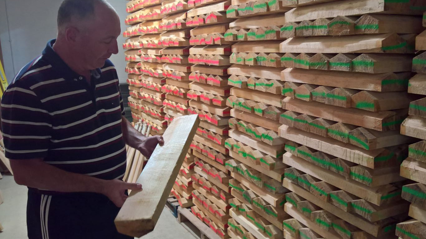 Salix Cricket English Cricket Bat Willow